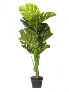 Artificial Monstera in a Pot