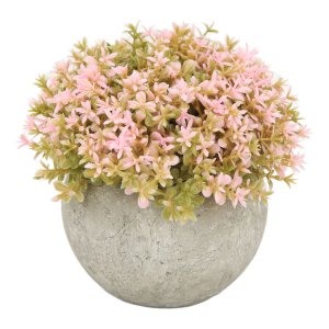 Green Bush with Pink Flowers in White Clay Pot